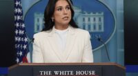 Director of National Intelligence Tulsi Gabbard levied a series of shocking charges against Hillary Clinton