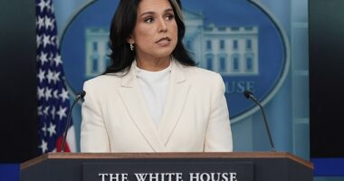 Director of National Intelligence Tulsi Gabbard levied a series of shocking charges against Hillary Clinton
