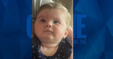 4 Bodies Found in West Tennessee May Be Connected to Infant Abandoned in Stranger’s Yard