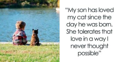 45 Wholesome Cat Posts That Will Hopefully Make Your Day