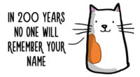 71 Brutal Life Truths Told By Cute Cats Will Give You Mixed Feelings