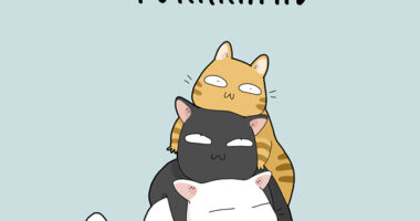 8 Cat Puns That Will Make Your Day