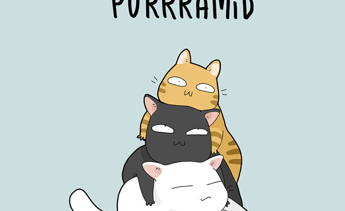 8 Cat Puns That Will Make Your Day