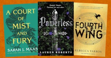 8 Romantasy Books That Were Dangerously Close To Being 10/10