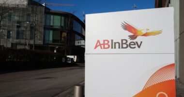 AB InBev stock sees worst day since COVID struck after volume miss
