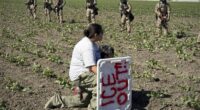 About That Farm Raid the Democrats Are So Angry About... – HotAir