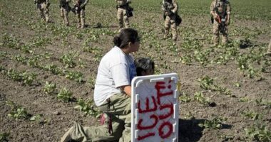 About That Farm Raid the Democrats Are So Angry About... – HotAir
