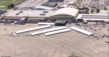 An active 'aggressor' is on the loose at a fairground in Louisville, Kentucky . Police swarmed the active scene at Kentucky Exposition Center, where summer fairgrounds for families are currently staged, on Sunday afternoon