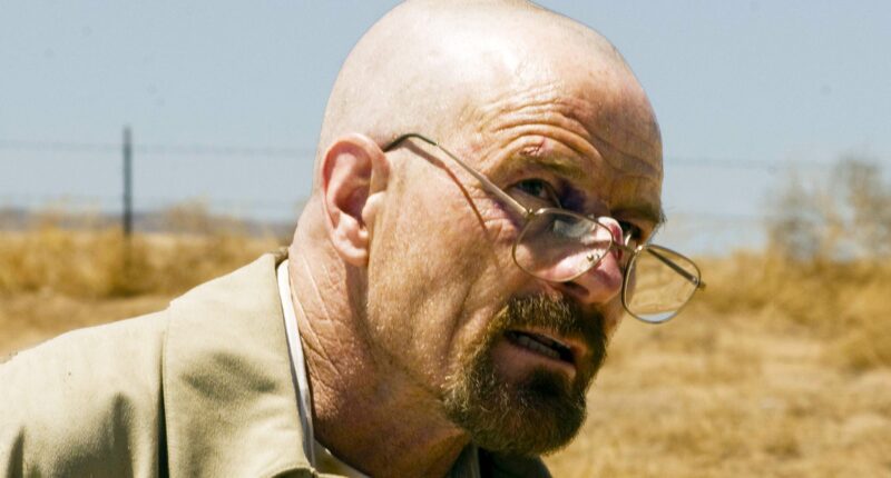 After Rewatching Breaking Bad, I Know The Exact Moment Walt's Plan Stopped Being About His Family