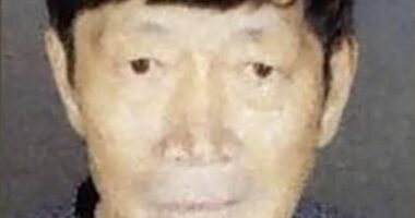 Guojun Xuan, 65, (pictured) and his partner Silvia Zhang, 38, were arrested for felony child endangerment this week after cops found they had 21 children from surrogate mothers
