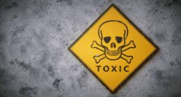 All the pain for none of the discount: Why small caps are so toxic right now
