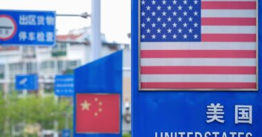 America’s raking in cash from Trump’s tariffs. Here’s why investors will benefit.
