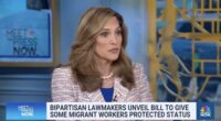 Amnesty Bill Will Allow Illegals To Keep Using U.S. As A Piggy Bank