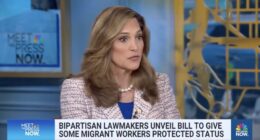 Amnesty Bill Will Allow Illegals To Keep Using U.S. As A Piggy Bank