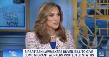 Amnesty Bill Will Allow Illegals To Keep Using U.S. As A Piggy Bank