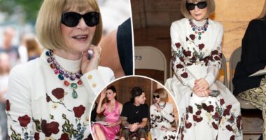 Anna Wintour makes first appearance since stepping down as Vogue editor-in-chief