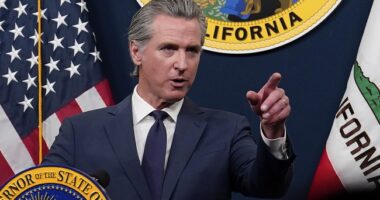 Another Democrat Power Grab That Silences the People – RedState