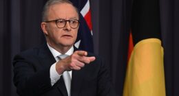 Australians will soon need to prove their age when logging on to the internet, under sweeping reforms from the Albanese government.