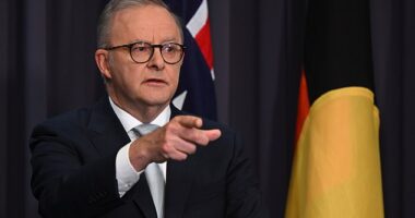 Australians will soon need to prove their age when logging on to the internet, under sweeping reforms from the Albanese government.