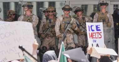 Anti-Ice Protesters' Actions During Protest in L.A. Show How Bankrupt the Left Is on July 4th – RedState
