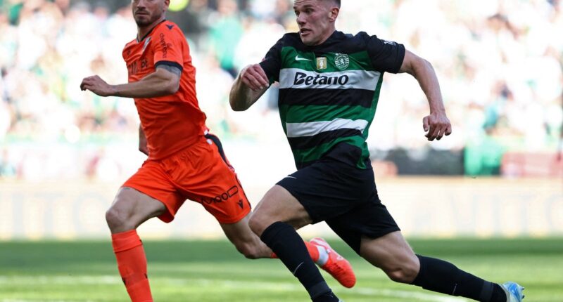 Arsenal have one final hurdle in Viktor Gyokeres deal after Benjamin Sesko issues