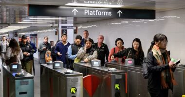 One in seven Transport for NSW employees will be axed in a new round of job cuts, reportedly done in order to pay for the latest wage deal with the rail union. Up to 950 senior service managers are set to lose their jobs just weeks after 300 senior executives were sacked in June.