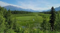 Awesome! Alaska Using High-Tech Drones to Clear Power Lines – RedState