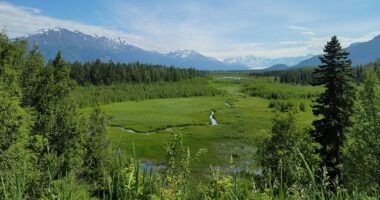 Awesome! Alaska Using High-Tech Drones to Clear Power Lines – RedState