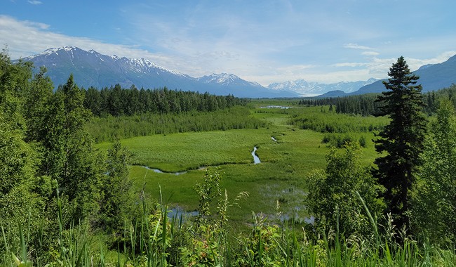 Awesome! Alaska Using High-Tech Drones to Clear Power Lines – RedState