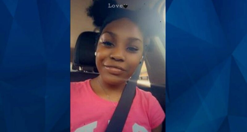 BOLO: Missing Persons Alert Issued for 14-Year-Old Illinois Girl
