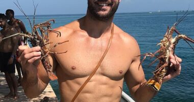 Beau Ryan (pictured) has received some X-rated advice from an Aussie porn star on-air