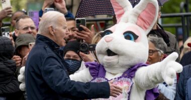 Biden Wasn't 'Politically Viable' In Final Year – HotAir