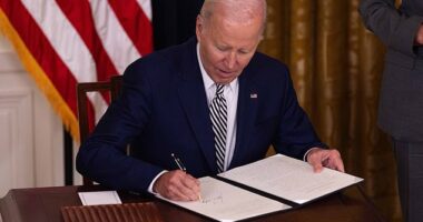 The ailing 82-year-old, who is battling prostate cancer , revealed he instructed staffers to use an autopen to grant sweeping pardons on his behalf because there were simply too many for him to sign by hand
