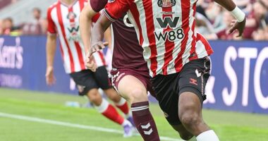 Big spenders Sunderland are the only newly-promoted team with 'a chance' of Premier League survival, believes Mark Clattenburg - as he also takes aim at anti-competitive FFP rules