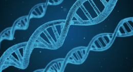 Bioscience Company Plans to Resurrect the Moa. They Can't. – RedState