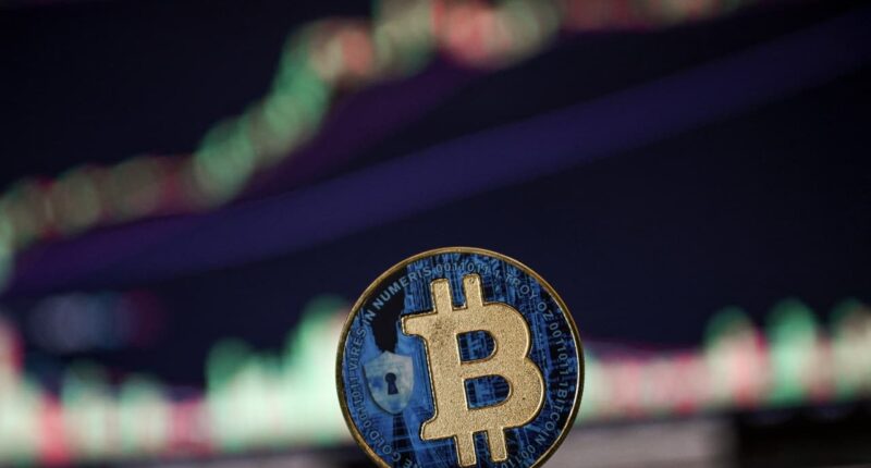 Bitcoin hits record high. Why the crypto’s rally may lose steam after briefly topping $112,000.