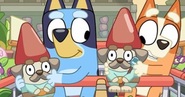 Fans of the ABC children's cartoon series, Bluey, are up in arms after a popular episode was pulled off the network. The episode, titled Hammerbarn (pictured) and originally airing as part of season two of the show, has been removed from ABC's on-demand streaming service, iView