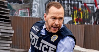 'Boston Blue' Just Recast a Key Figure From Danny's Past — and It Could Change Everything