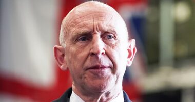 Defence Secretary John Healey (pictured on a visit to the HMS Prince of Wales aircraft carrier today) has said Britain is ready to fight if conflict breaks out over Taiwan