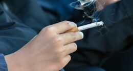 Researchers in London , who assessed the smoking habits of almost 80,000 Britons, found smokers still had 10 cigarettes per day on average in 2024