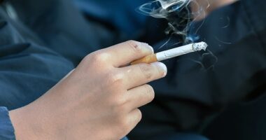 Researchers in London , who assessed the smoking habits of almost 80,000 Britons, found smokers still had 10 cigarettes per day on average in 2024