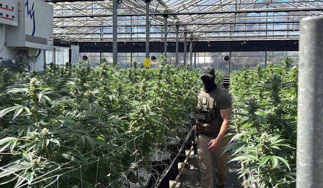 California Rep. Salud Carbajal Doxxed ICE Agent Who Participated In Raid at His Donor's Marijuana Farm – RedState