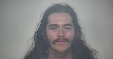 Car Laden With Weapons Including a Rifle, Rapier, and Bow Discovered at Capitol.