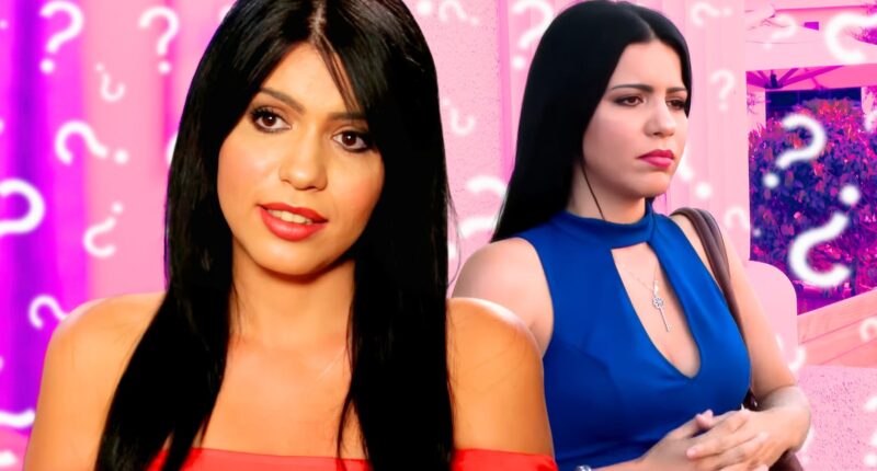 Chilling Details Behind 90 Day Fiancé Cast Member's Arrest Revealed