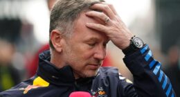 Christian Horner has been sacked as Red Bull team principal in a move that has shocked F1