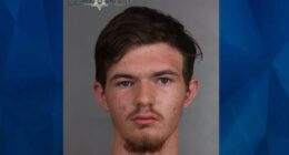 Colorado Teen Kidnaps 5-Year-Old Girl at Water Park, Sexually Assaults Her in Changing Room: Police