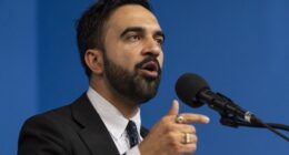 Communist Zohran Mamdani's Big Government-Owned Grocery Store Scheme Takes a Believably Hilarious Turn – RedState