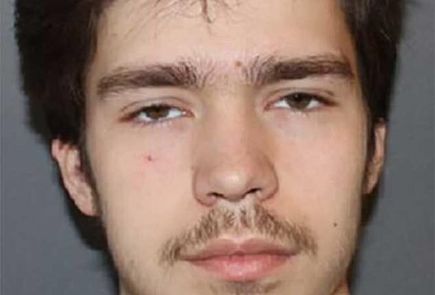 Tyler Boebert is pictured in a mugshot in February 2024. He is facing a new misdemeanor charge of child abuse after an incident with the congresswoman's grandson