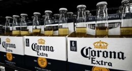 Constellation Brands says ‘socioeconomic headwinds’ are hurting beer sales, amid immigration crackdown