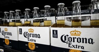 Constellation Brands says ‘socioeconomic headwinds’ are hurting beer sales, amid immigration crackdown